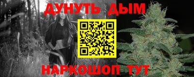 spice Новозыбков